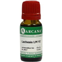 LACHESIS ARCA LM 6