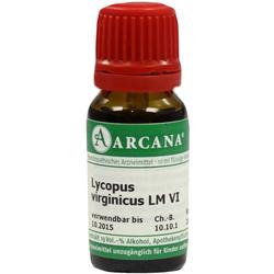 LYCOPUS VIRGIN ARCA LM 6